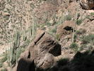 photo thumbnail #6