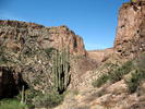 photo thumbnail #8
