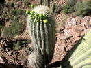 photo thumbnail #14