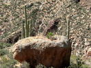 photo thumbnail #15