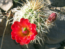 photo thumbnail #12
