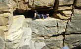 photo thumbnail #8