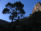 photo thumbnail #1