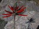 photo thumbnail #6