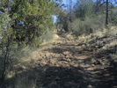 photo thumbnail #6