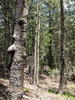 photo thumbnail #11