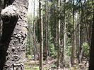 photo thumbnail #12