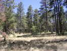 photo thumbnail #10