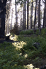 photo thumbnail #10