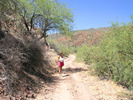 photo thumbnail #5