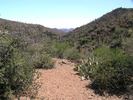 photo thumbnail #8