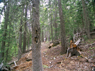 photo thumbnail #7