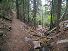 photo thumbnail #9