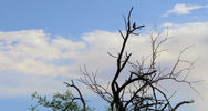 photo thumbnail #14