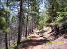 photo thumbnail #4
