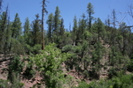 photo thumbnail #1