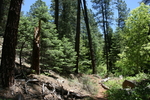photo thumbnail #4