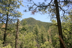 photo thumbnail #9