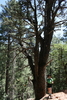 photo thumbnail #13