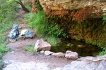 photo thumbnail #5