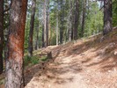 photo thumbnail #1