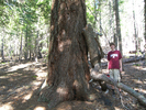 photo thumbnail #1