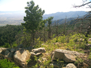 photo thumbnail #6