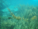 photo thumbnail #11