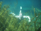 photo thumbnail #12