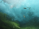 photo thumbnail #13