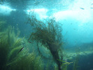 photo thumbnail #15