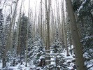 photo thumbnail #1
