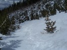 photo thumbnail #6
