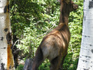 photo thumbnail #13