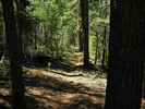 photo thumbnail #14