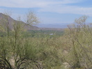 photo thumbnail #8