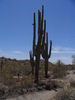 photo thumbnail #15