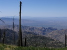 photo thumbnail #3