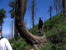 photo thumbnail #4