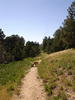 photo thumbnail #1