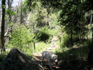 photo thumbnail #2