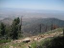 photo thumbnail #5