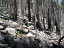 photo thumbnail #6