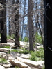photo thumbnail #9