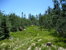 photo thumbnail #11