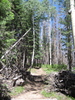 photo thumbnail #9