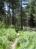 photo thumbnail #11