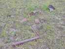 photo thumbnail #3