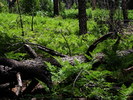 photo thumbnail #14