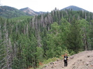 photo thumbnail #6